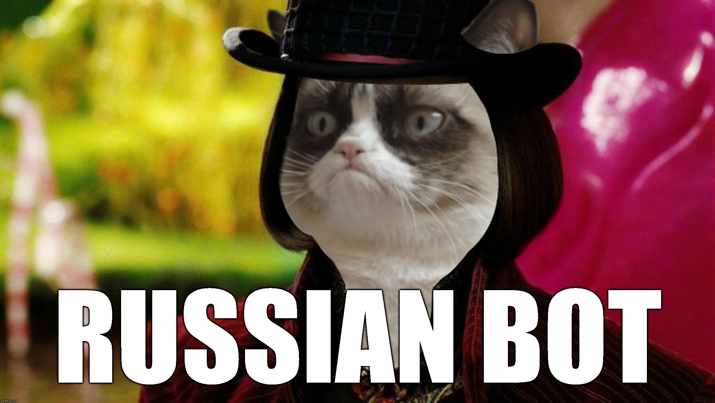 Wonka Grumpy Cat | RUSSIAN BOT | image tagged in wonka grumpy cat | made w/ Imgflip meme maker