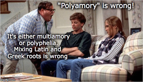 For The Love of God! | "Polyamory" is wrong! It's either multiamory or polyphelia. Mixing Latin and Greek roots is wrong | image tagged in for the love of god,language,threesome,marriage | made w/ Imgflip meme maker
