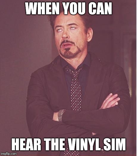 Face You Make Robert Downey Jr Meme | WHEN YOU CAN; HEAR THE VINYL SIM | image tagged in memes,face you make robert downey jr | made w/ Imgflip meme maker