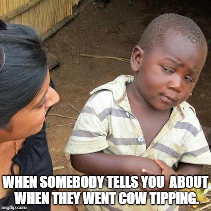 Skeptical African Kid, Full | WHEN SOMEBODY TELLS YOU  ABOUT WHEN THEY WENT COW TIPPING. | image tagged in skeptical african kid full | made w/ Imgflip meme maker