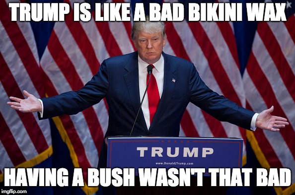 The Donald Trump Wax | TRUMP IS LIKE A BAD BIKINI WAX; HAVING A BUSH WASN'T THAT BAD | image tagged in donald trump,bush,meme,george bush | made w/ Imgflip meme maker
