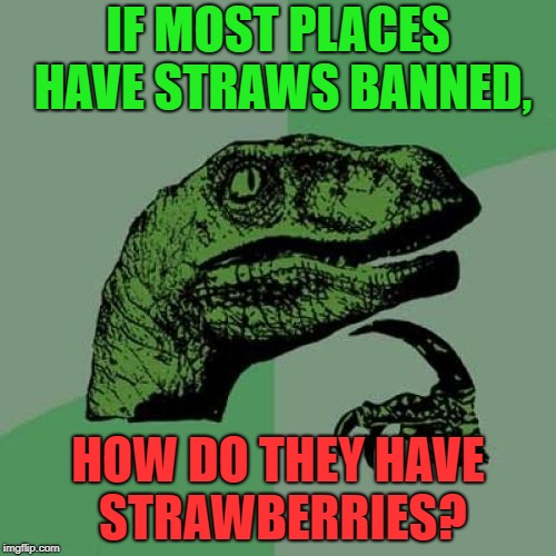 Philosoraptor Meme | IF MOST PLACES HAVE STRAWS BANNED, HOW DO THEY HAVE STRAWBERRIES? | image tagged in memes,philosoraptor | made w/ Imgflip meme maker