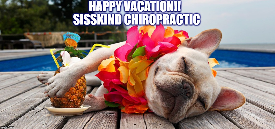 Happy Vacation!! | HAPPY VACATION!! SISSKIND CHIROPRACTIC | image tagged in happy vacation | made w/ Imgflip meme maker