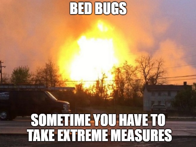 Bed Bugs Extreme Measures | BED BUGS; SOMETIME YOU HAVE TO TAKE EXTREME MEASURES | image tagged in huge explosion,bed bugs,extreme,fire,home | made w/ Imgflip meme maker