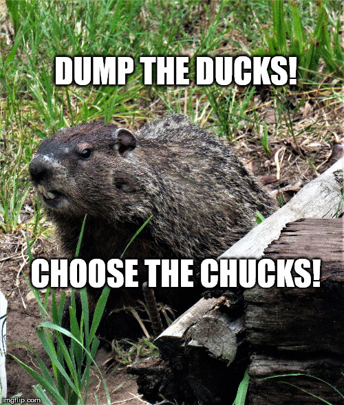 wouldchuck | DUMP THE DUCKS! CHOOSE THE CHUCKS! | image tagged in wouldchuck | made w/ Imgflip meme maker