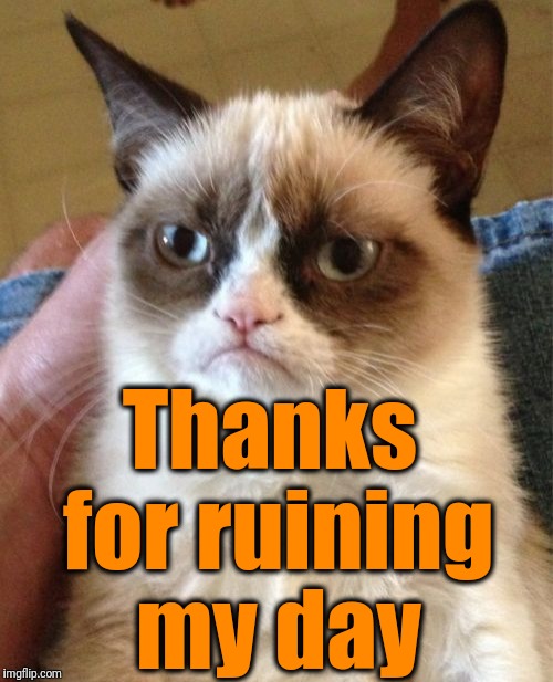 Grumpy Cat Meme | Thanks for ruining my day | image tagged in memes,grumpy cat | made w/ Imgflip meme maker