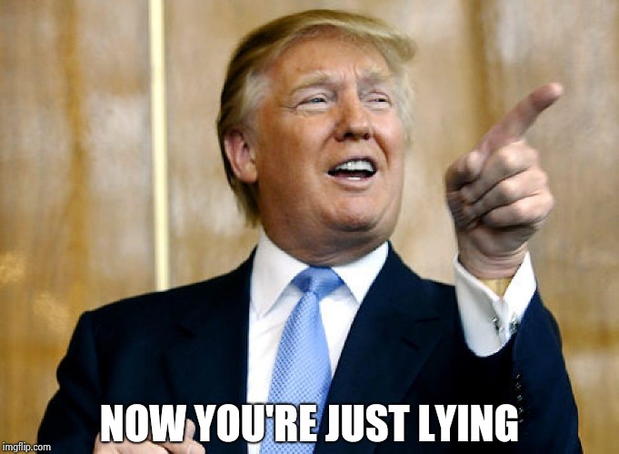 Donald Trump Pointing | NOW YOU'RE JUST LYING | image tagged in donald trump pointing | made w/ Imgflip meme maker