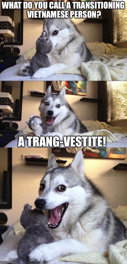 Bad Joke Dog | WHAT DO YOU CALL A TRANSITIONING VIETNAMESE PERSON? A TRANG-VESTITE! | image tagged in bad joke dog | made w/ Imgflip meme maker