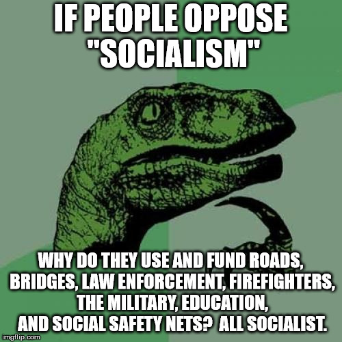 Philosoraptor Meme | IF PEOPLE OPPOSE "SOCIALISM" WHY DO THEY USE AND FUND ROADS, BRIDGES, LAW ENFORCEMENT, FIREFIGHTERS, THE MILITARY, EDUCATION, AND SOCIAL SAF | image tagged in memes,philosoraptor | made w/ Imgflip meme maker