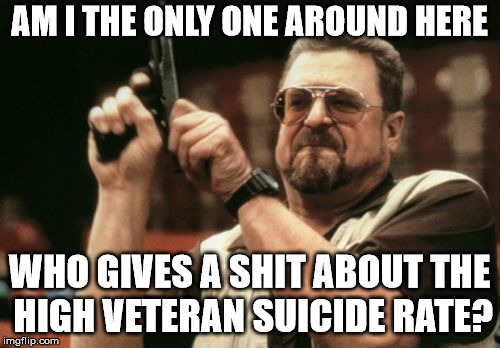 Am I The Only One Around Here Meme | AM I THE ONLY ONE AROUND HERE WHO GIVES A SHIT ABOUT THE HIGH VETERAN SUICIDE RATE? | image tagged in memes,am i the only one around here | made w/ Imgflip meme maker