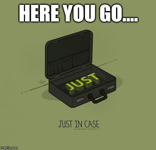 Yup, you have JUST in case all right. | HERE YOU GO.... | image tagged in memes,play on words,funny meme,humor | made w/ Imgflip meme maker