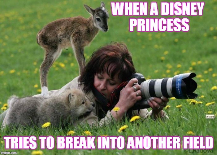 Disney Princess Photographer | WHEN A DISNEY PRINCESS; TRIES TO BREAK INTO ANOTHER FIELD | image tagged in disney princesses | made w/ Imgflip meme maker