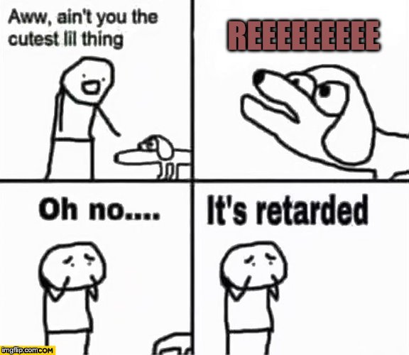 Oh no it's retarded! | REEEEEEEEE | image tagged in oh no it's retarded | made w/ Imgflip meme maker