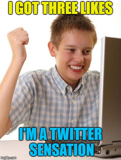 First Day On The Internet Kid Meme | I GOT THREE LIKES I'M A TWITTER SENSATION | image tagged in memes,first day on the internet kid | made w/ Imgflip meme maker