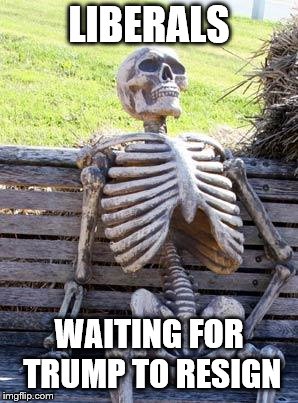 Waiting Skeleton | LIBERALS; WAITING FOR TRUMP TO RESIGN | image tagged in memes,waiting skeleton | made w/ Imgflip meme maker