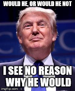 Donald Trump smug | WOULD HE, OR WOULD HE NOT I SEE NO REASON WHY HE WOULD | image tagged in donald trump smug | made w/ Imgflip meme maker