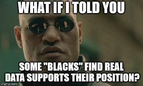 Matrix Morpheus Meme | WHAT IF I TOLD YOU SOME "BLACKS" FIND REAL DATA SUPPORTS THEIR POSITION? | image tagged in memes,matrix morpheus | made w/ Imgflip meme maker