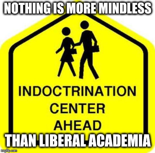 Nothing is more mindless... |  NOTHING IS MORE MINDLESS; THAN LIBERAL ACADEMIA | image tagged in memes,liberals,indoctrination,academia | made w/ Imgflip meme maker