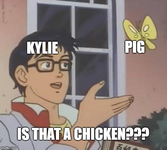 Is This A Pigeon Meme | KYLIE; PIG; IS THAT A CHICKEN??? | image tagged in memes,is this a pigeon | made w/ Imgflip meme maker