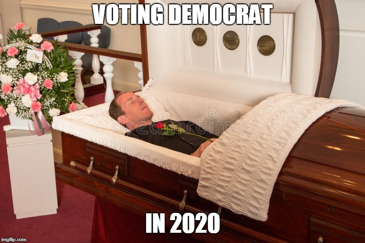 Democrat | VOTING DEMOCRAT; IN 2020 | image tagged in democrats | made w/ Imgflip meme maker