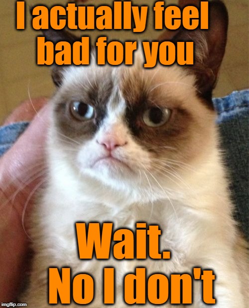 Grumpy Cat Meme | I actually feel bad for you Wait.  No I don't | image tagged in memes,grumpy cat | made w/ Imgflip meme maker