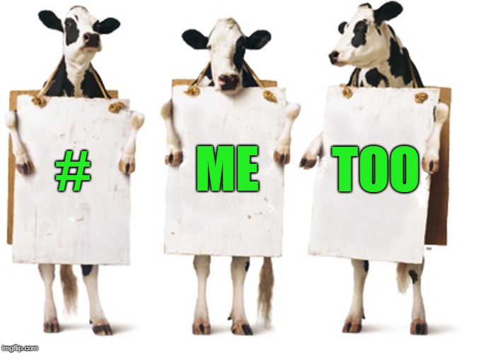 Chick-fil-A 3-cow billboard | ME; TOO; # | image tagged in chick-fil-a 3-cow billboard | made w/ Imgflip meme maker
