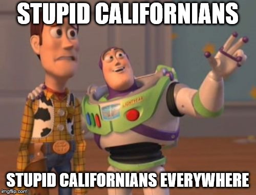 X, X Everywhere Meme | STUPID CALIFORNIANS STUPID CALIFORNIANS EVERYWHERE | image tagged in memes,x x everywhere | made w/ Imgflip meme maker