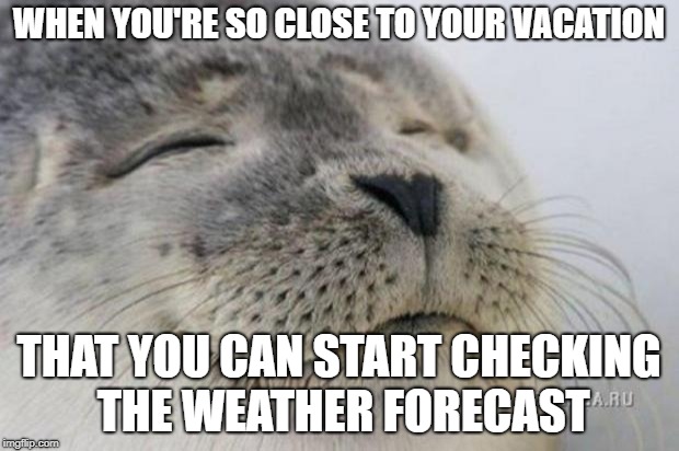 Happy Seal | WHEN YOU'RE SO CLOSE TO YOUR VACATION; THAT YOU CAN START CHECKING THE WEATHER FORECAST | image tagged in happy seal,AdviceAnimals | made w/ Imgflip meme maker