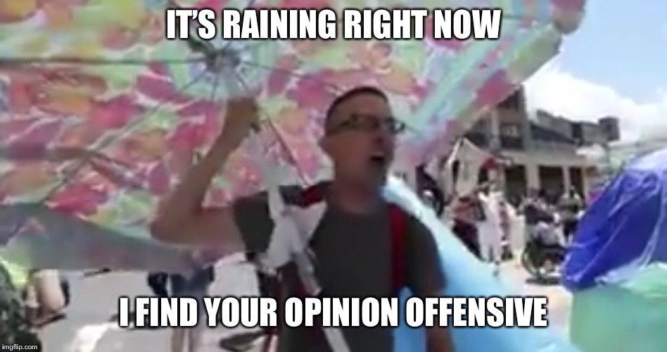 Typical SJ Extremist (SJE) | IT’S RAINING RIGHT NOW; I FIND YOUR OPINION OFFENSIVE | image tagged in umbrella activist | made w/ Imgflip meme maker
