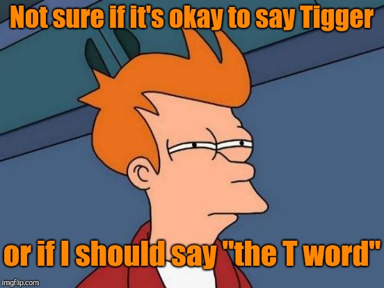 Futurama Fry Meme | Not sure if it's okay to say Tigger or if I should say "the T word" | image tagged in memes,futurama fry | made w/ Imgflip meme maker