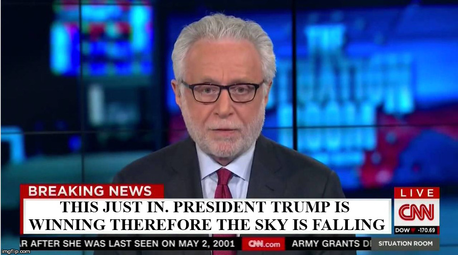 CNN "Wolf of Fake News" Fanfiction | THIS JUST IN. PRESIDENT TRUMP IS WINNING THEREFORE THE SKY IS FALLING | image tagged in cnn wolf of fake news fanfiction | made w/ Imgflip meme maker