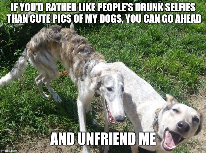 Go ahead and unfriend me | IF YOU'D RATHER LIKE PEOPLE'S DRUNK SELFIES THAN CUTE PICS OF MY DOGS, YOU CAN GO AHEAD; AND UNFRIEND ME | image tagged in dogs,laughing dog | made w/ Imgflip meme maker