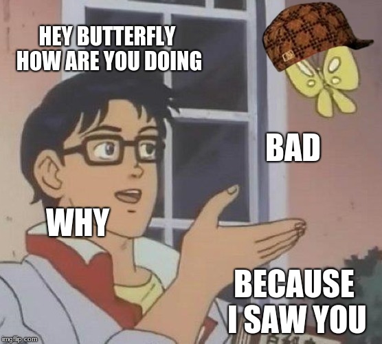 Is This A Pigeon | HEY BUTTERFLY HOW ARE YOU DOING; BAD; WHY; BECAUSE I SAW YOU | image tagged in memes,is this a pigeon,scumbag | made w/ Imgflip meme maker