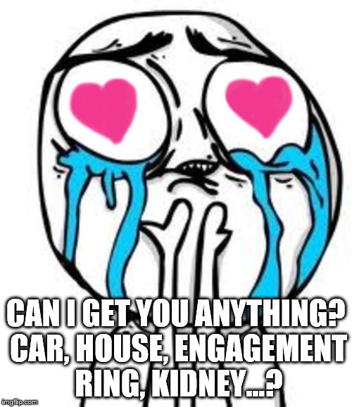 Heart eyes | CAN I GET YOU ANYTHING? CAR, HOUSE, ENGAGEMENT RING, KIDNEY...? | image tagged in heart eyes | made w/ Imgflip meme maker