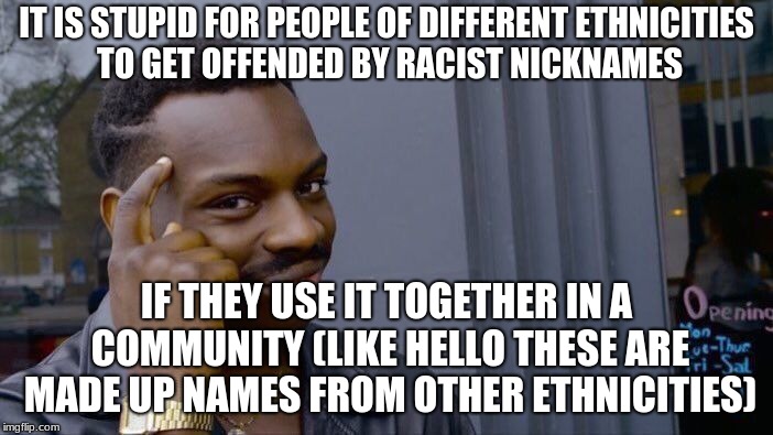 Roll Safe Think About It Meme | IT IS STUPID FOR PEOPLE OF DIFFERENT ETHNICITIES TO GET OFFENDED BY RACIST NICKNAMES; IF THEY USE IT TOGETHER IN A COMMUNITY (LIKE HELLO THESE ARE MADE UP NAMES FROM OTHER ETHNICITIES) | image tagged in memes,roll safe think about it | made w/ Imgflip meme maker