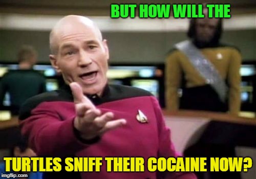 Picard Wtf | BUT HOW WILL THE; TURTLES SNIFF THEIR COCAINE NOW? | image tagged in memes,picard wtf | made w/ Imgflip meme maker