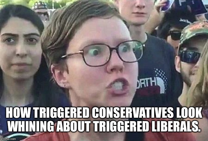 Triggered Liberal | HOW TRIGGERED CONSERVATIVES LOOK WHINING ABOUT TRIGGERED LIBERALS. | image tagged in triggered liberal | made w/ Imgflip meme maker