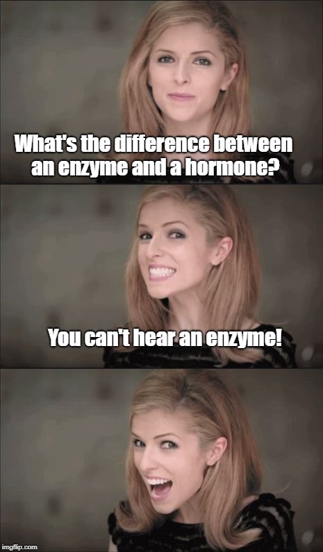 Stop me if you've heard this one.... | What's the difference between an enzyme and a hormone? You can't hear an enzyme! | image tagged in memes,bad pun anna kendrick | made w/ Imgflip meme maker
