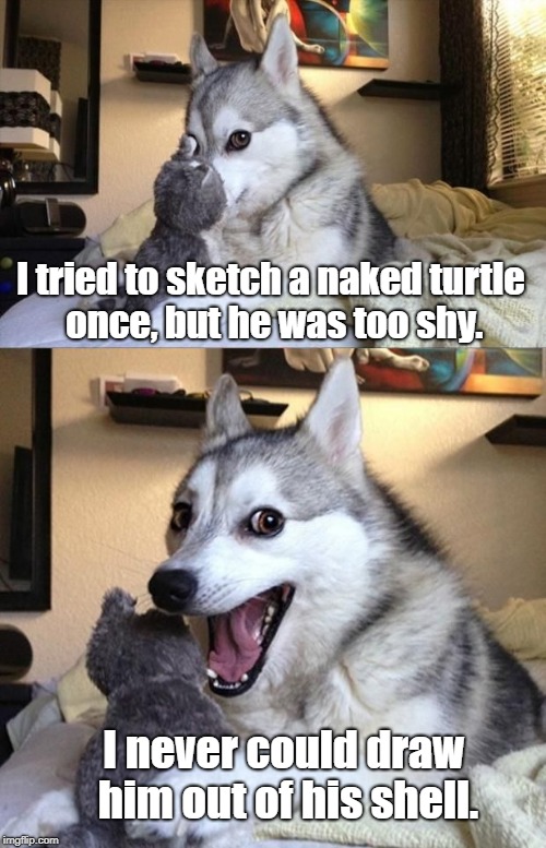 Picture this.... | I tried to sketch a naked turtle once, but he was too shy. I never could draw him out of his shell. | image tagged in pun dog 2 frame | made w/ Imgflip meme maker