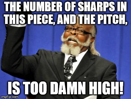 Too Damn High Meme | THE NUMBER OF SHARPS IN THIS PIECE, AND THE PITCH, IS TOO DAMN HIGH! | image tagged in memes,too damn high | made w/ Imgflip meme maker