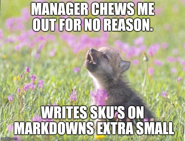 Baby Insanity Wolf Meme | MANAGER CHEWS ME OUT FOR NO REASON. WRITES SKU'S ON MARKDOWNS EXTRA SMALL | image tagged in memes,baby insanity wolf | made w/ Imgflip meme maker