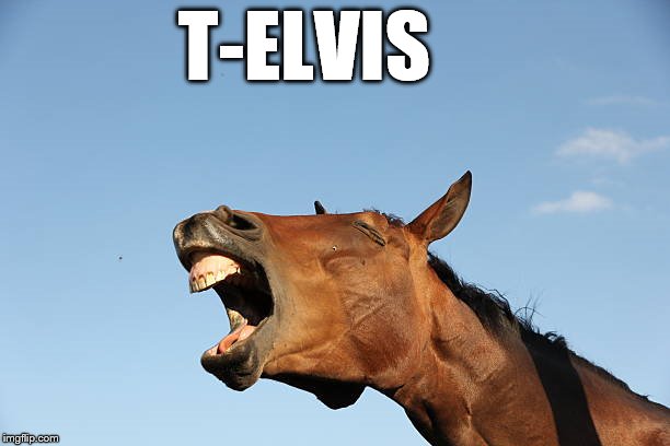 T-ELVIS | made w/ Imgflip meme maker