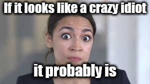 insane ungrateful rich commie power hungry idiot.don't feed the trolls. | If it looks like a crazy idiot; it probably is | image tagged in loony leftist,rich commies,soros paid | made w/ Imgflip meme maker