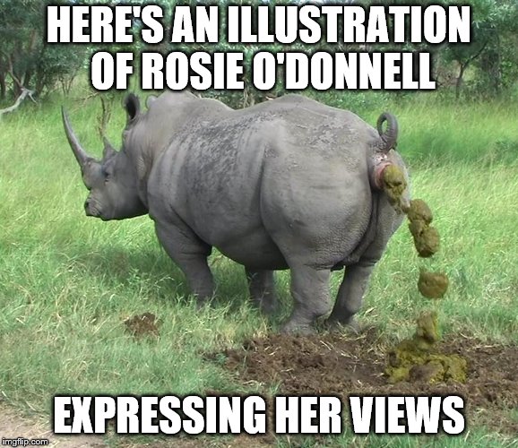 Rosie expressing her opinion again | HERE'S AN ILLUSTRATION OF ROSIE O'DONNELL; EXPRESSING HER VIEWS | image tagged in rosie o'donnell,opinion,view,sjw,funny | made w/ Imgflip meme maker