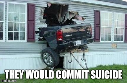 funny car crash | THEY WOULD COMMIT SUICIDE | image tagged in funny car crash | made w/ Imgflip meme maker