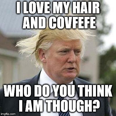 Donald Trump | I LOVE MY HAIR AND COVFEFE; WHO DO YOU THINK I AM THOUGH? | image tagged in donald trump | made w/ Imgflip meme maker