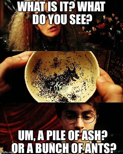 When you try to find a picture in your teacup. | WHAT IS IT? WHAT DO YOU SEE? UM, A PILE OF ASH? OR A BUNCH OF ANTS? | image tagged in harry potter | made w/ Imgflip meme maker