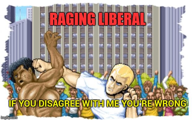 Street Fighter | RAGING LIBERAL IF YOU DISAGREE WITH ME YOU'RE WRONG | image tagged in street fighter | made w/ Imgflip meme maker