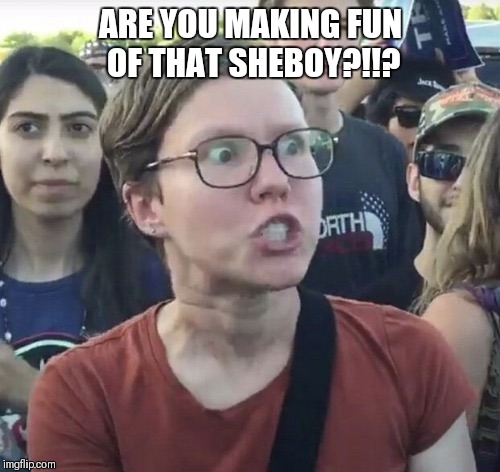 Triggered feminist | ARE YOU MAKING FUN OF THAT SHEBOY?!!? | image tagged in triggered feminist | made w/ Imgflip meme maker