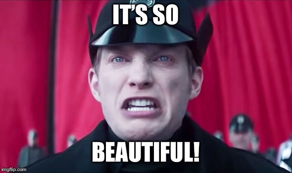 General Hux | IT’S SO; BEAUTIFUL! | image tagged in general hux | made w/ Imgflip meme maker
